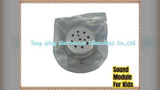 Wodoodporny moduł dźwiękowy ubrania dla dzieci buty zabawki